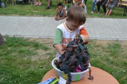 DSC_0738.JPG - 