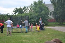 DSC_0820.JPG - 